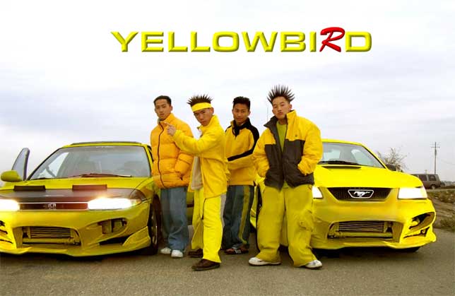 Riced Up!